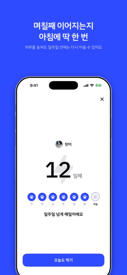 연속 기록 화면