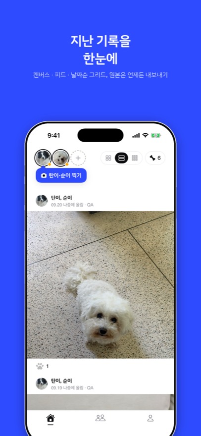 팔로잉 피드